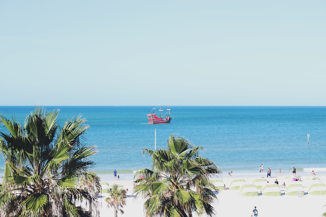 people near seashore viewing calm sea