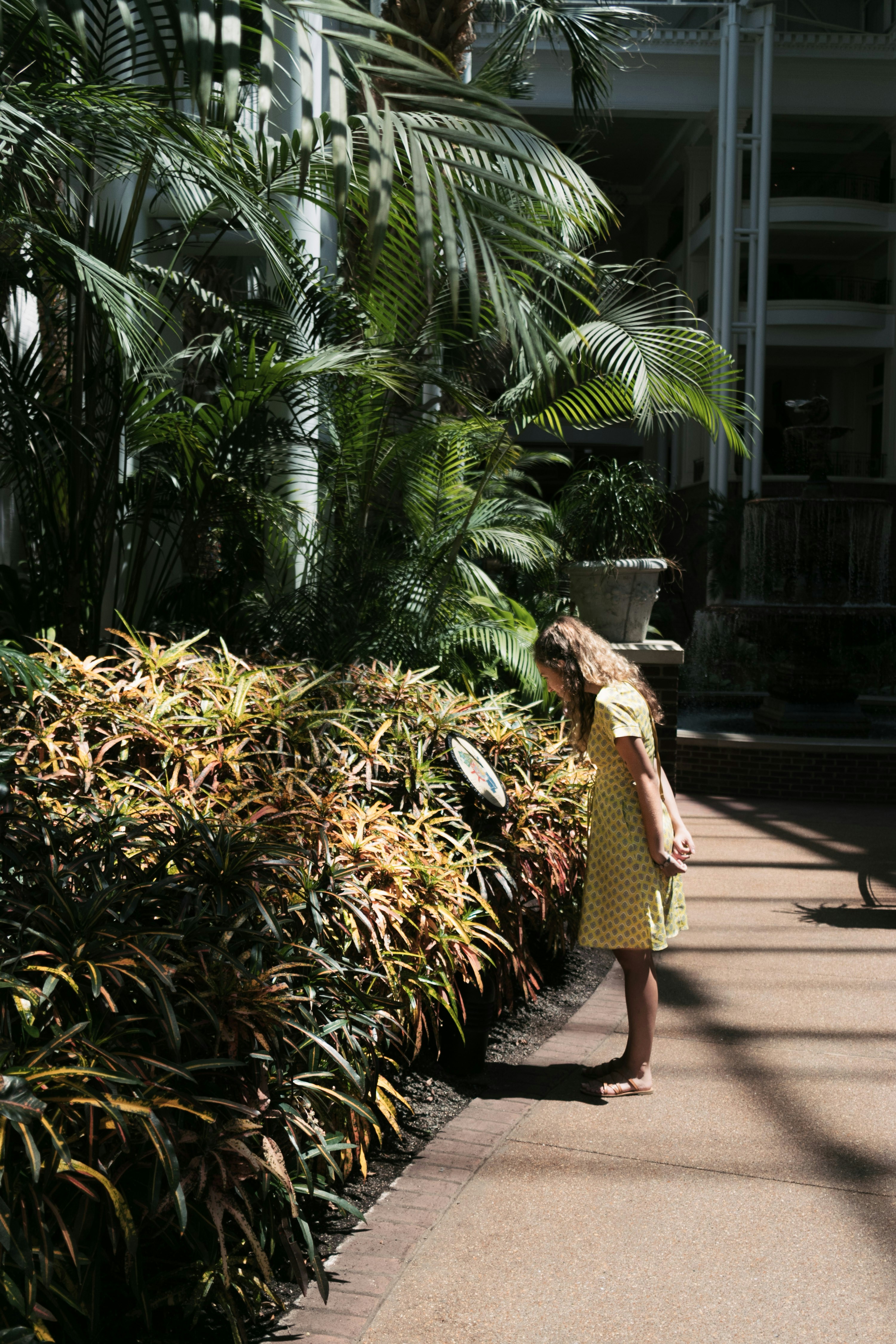 woman standing beside green plants near buildings