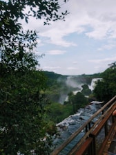 A lush green eco-tourism site with visitors enjoying nature trails and wildlife.