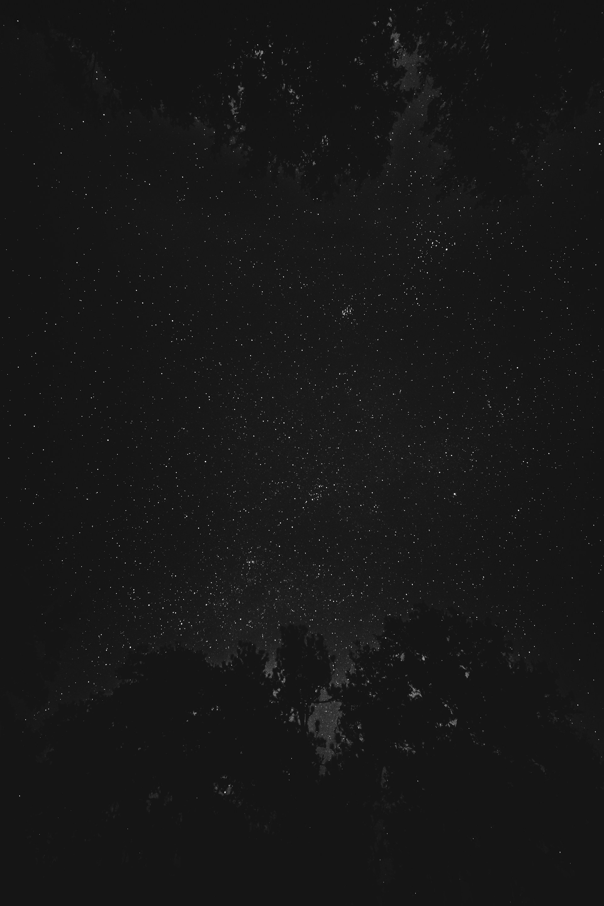 black and white polka dot textile