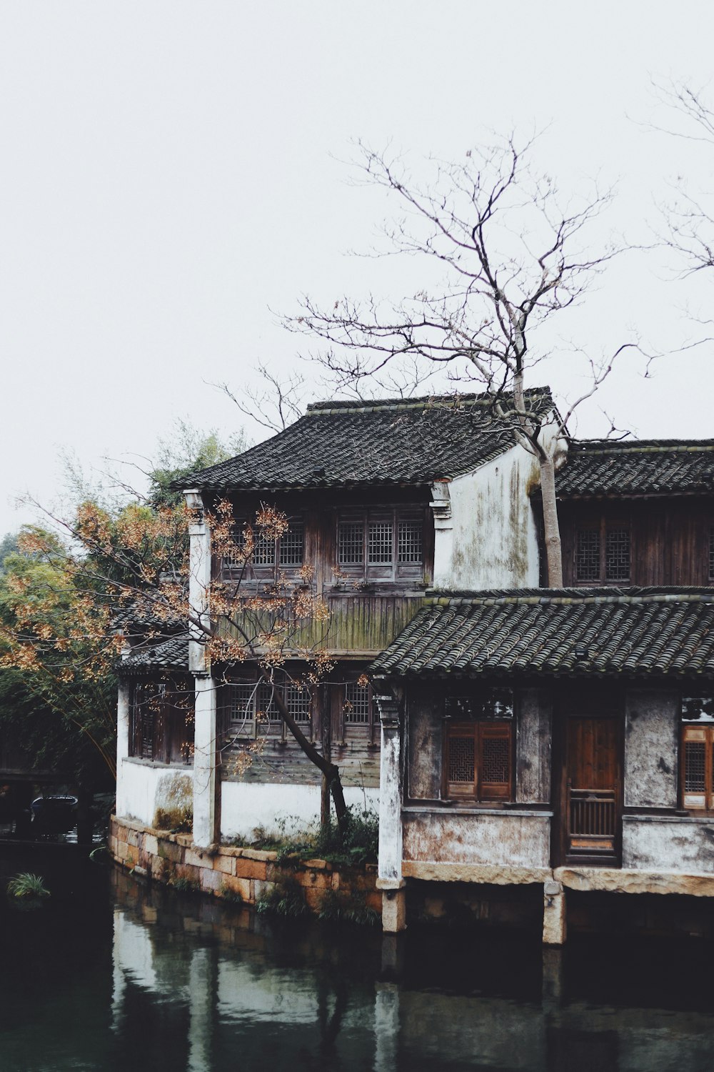 house near body of water and bare tree during daytime