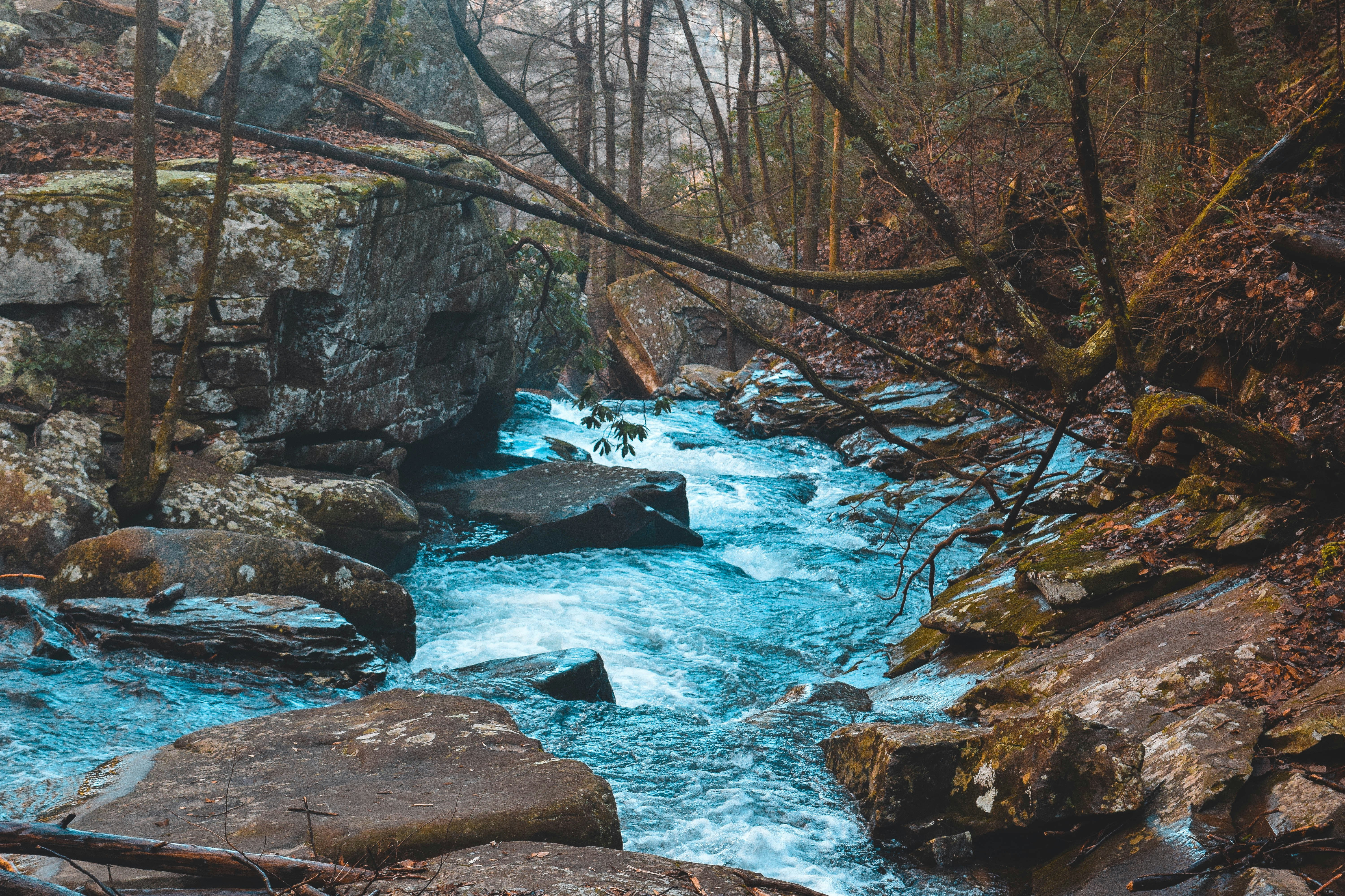 Photo by samdellaporta