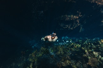 man free diving in clear water