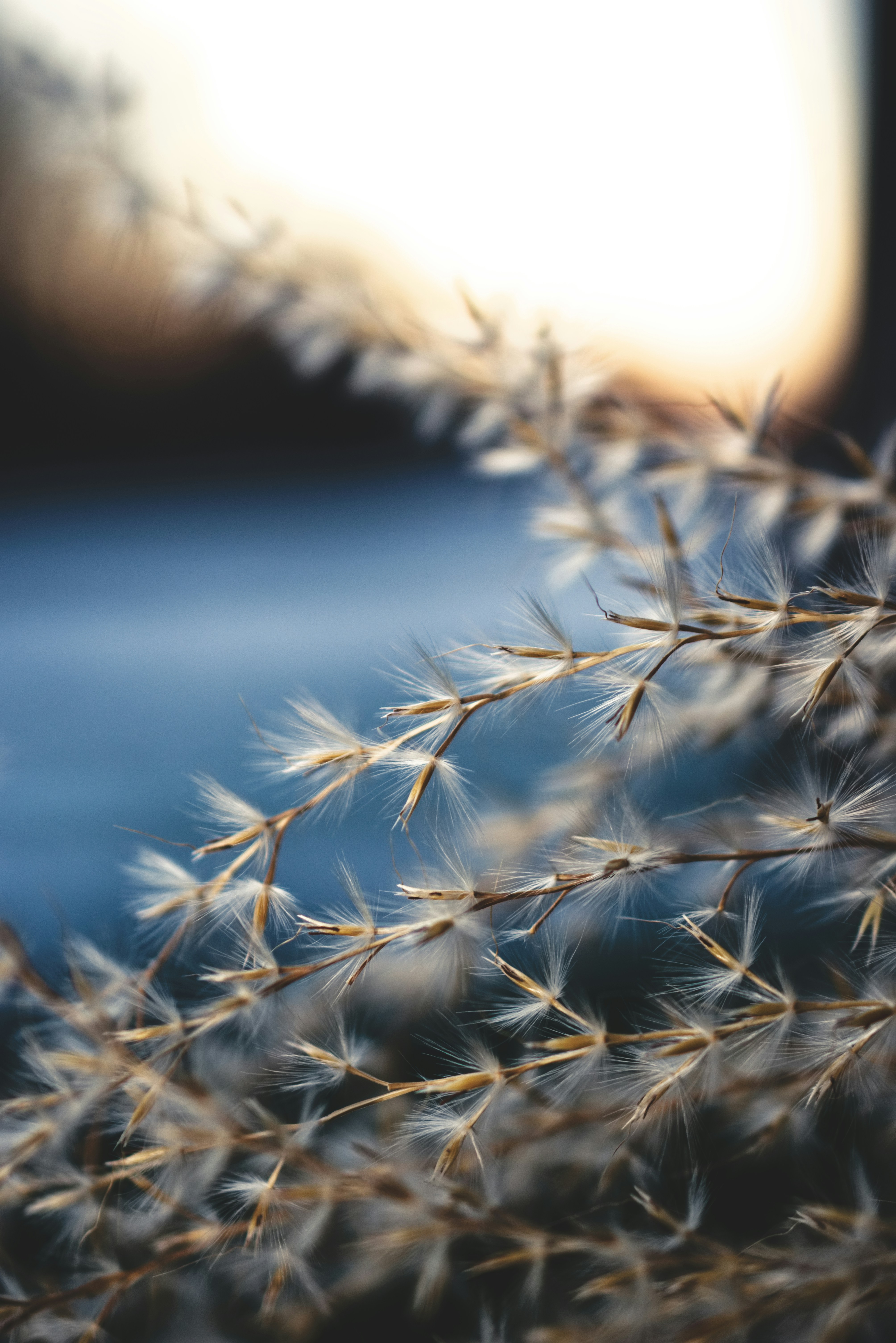 Photo by ldpeterson11