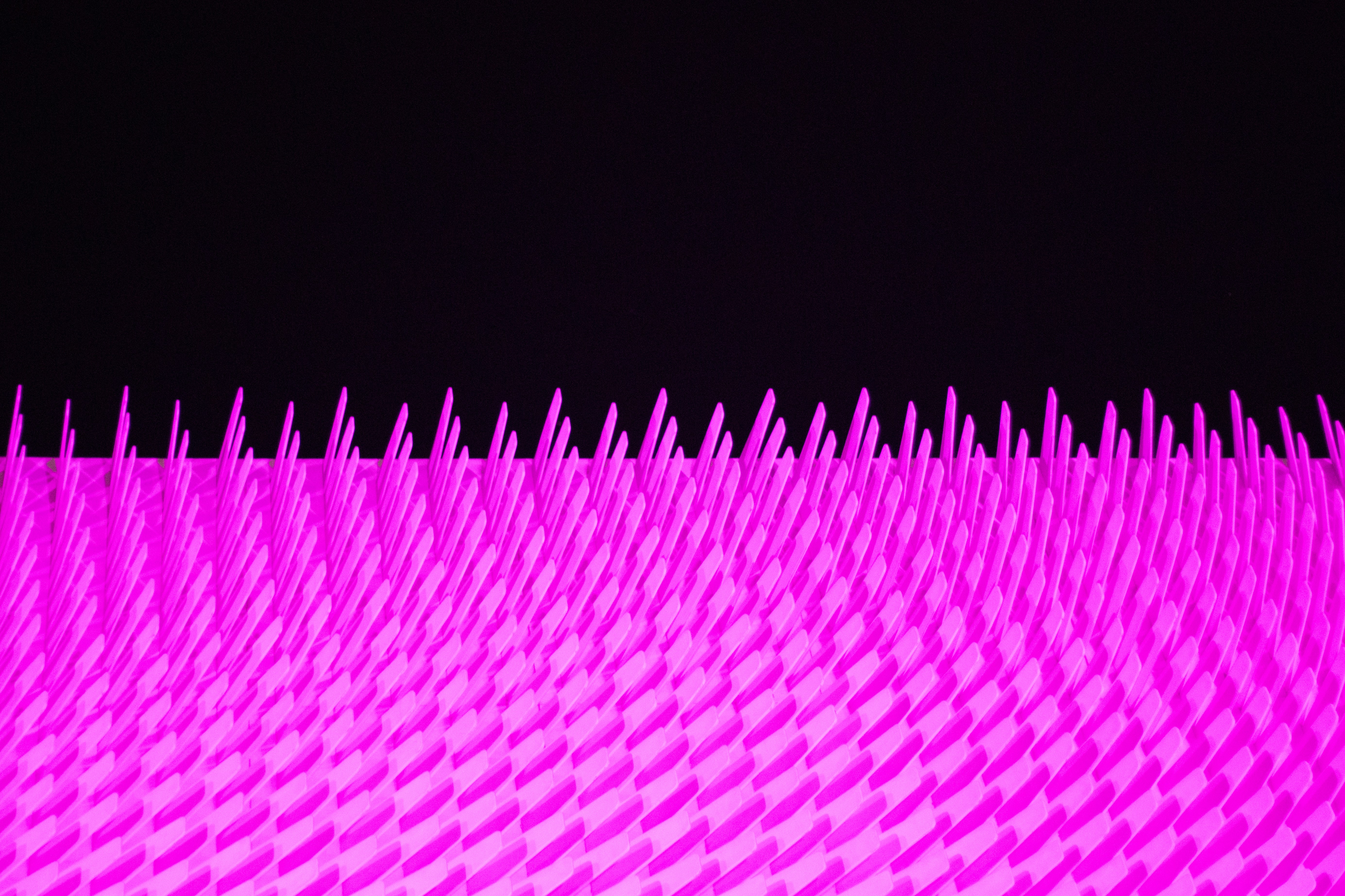 pink bristled artwork