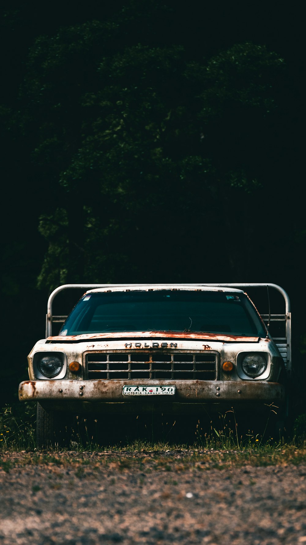 brown vehicle near tree