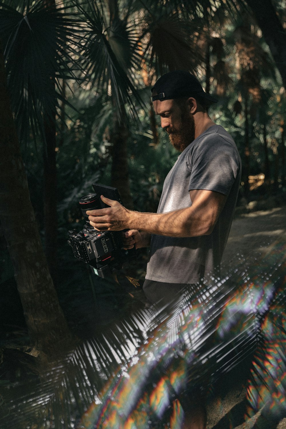 man holding camera under palm trees