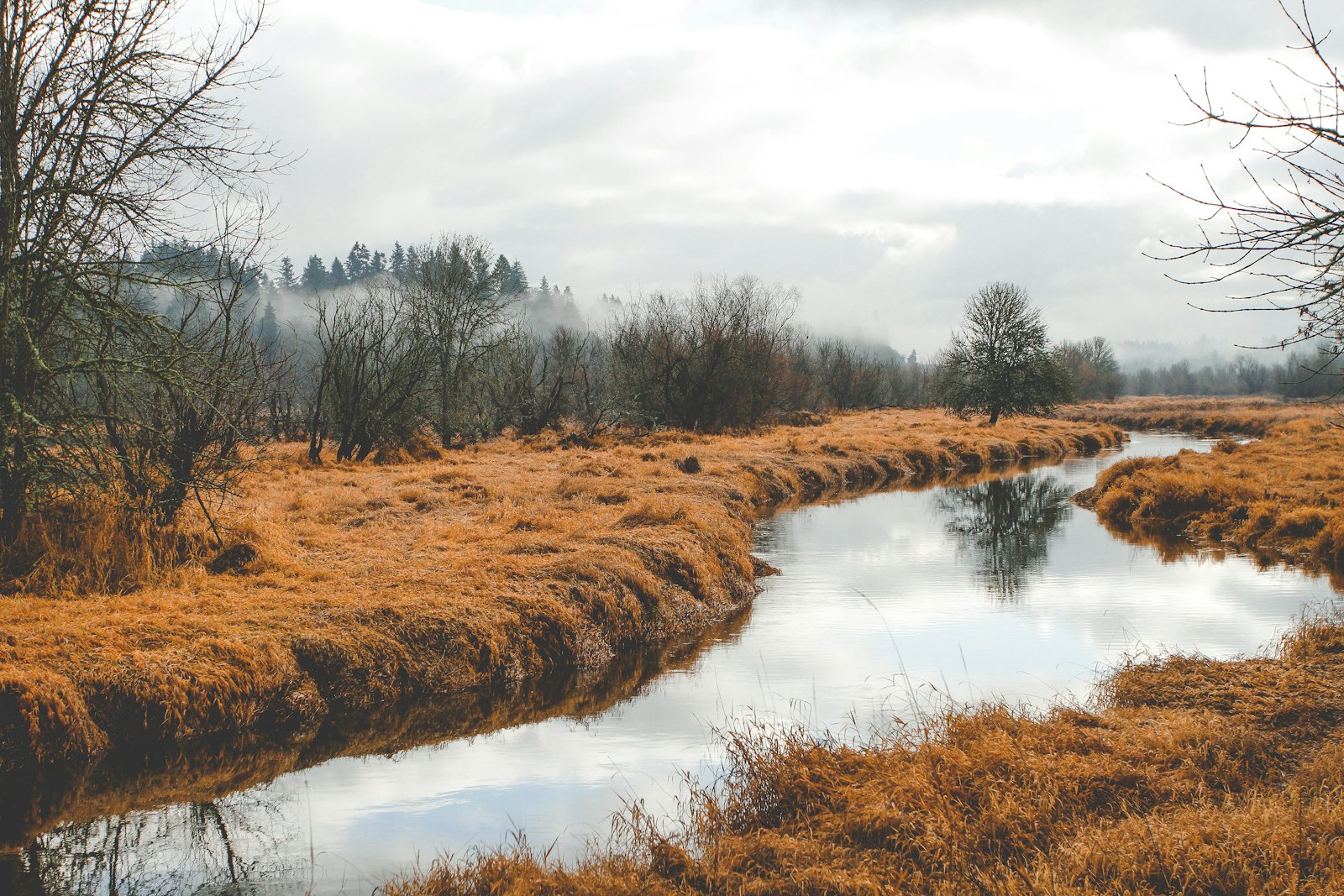 Canon EOS 7D + Canon EF 17-40mm F4L USM sample photo. River beside trees photography