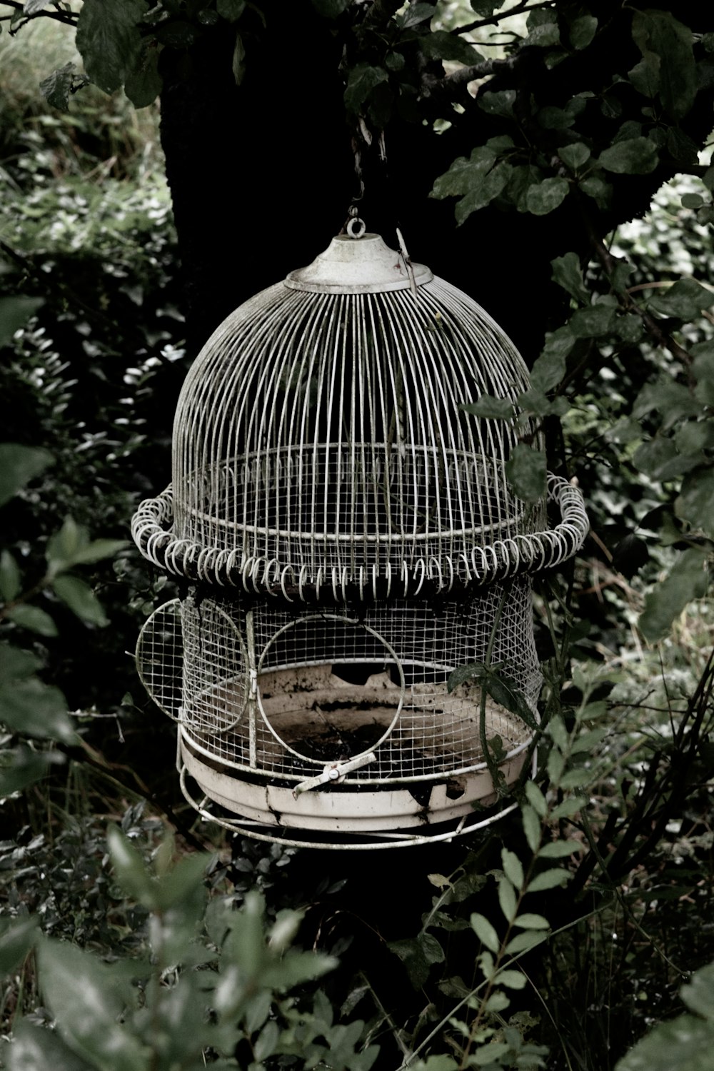 cage à oiseaux blanche