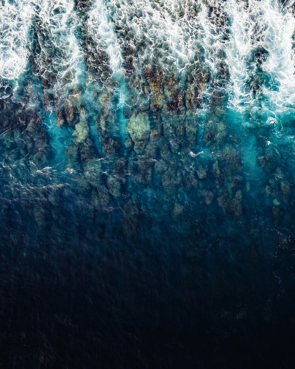 aerial view photography of shore