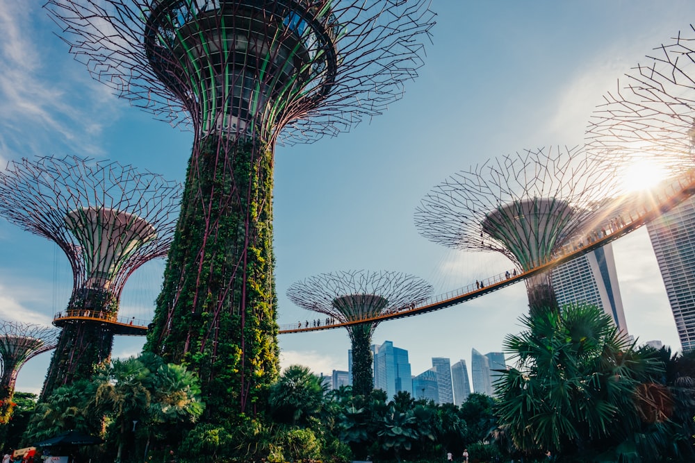 Gardens by the Bay, Singapore