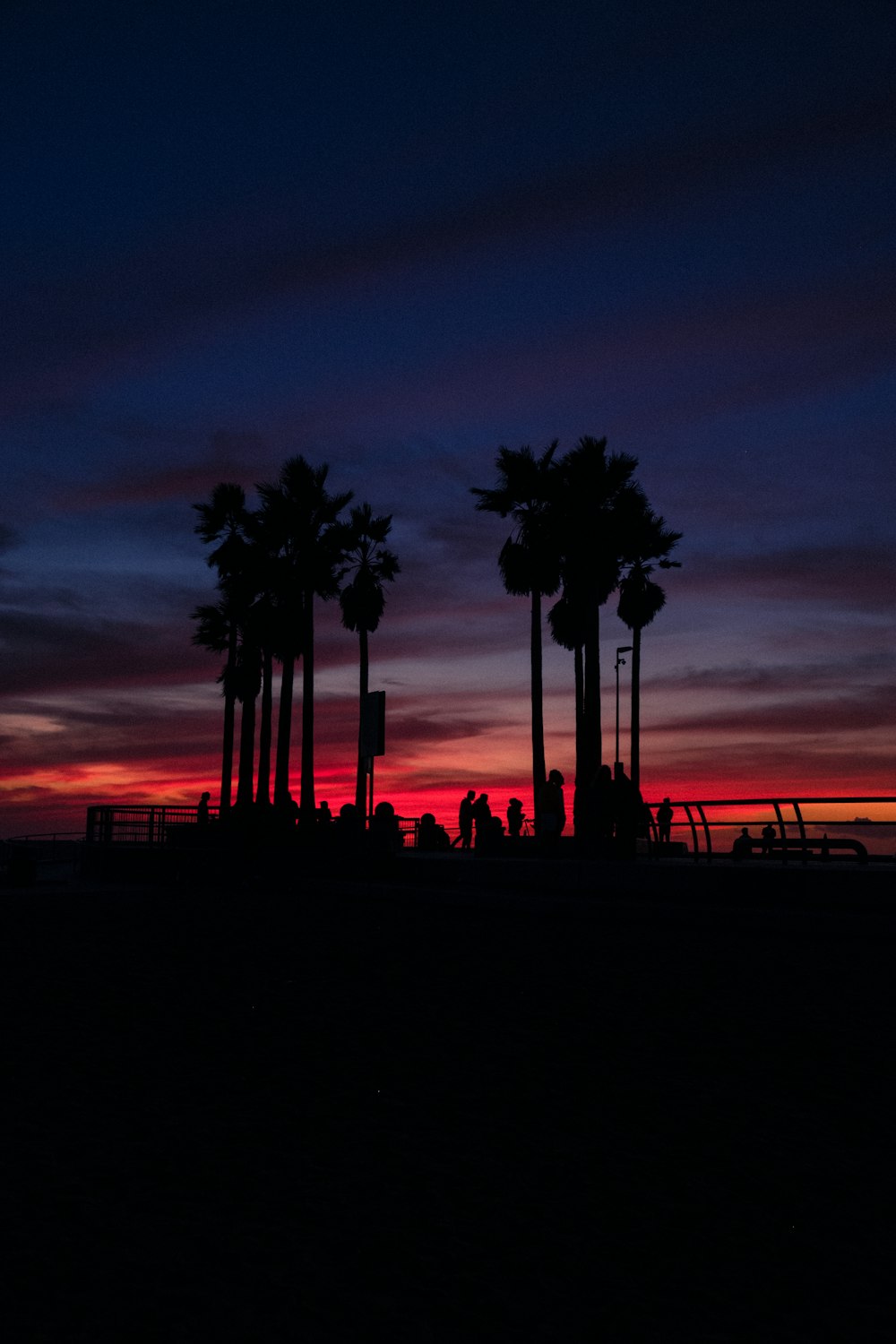 silhouette of trees under sky