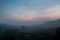 A misty Irish landscape at dawn with soft light filtering through ancient trees.