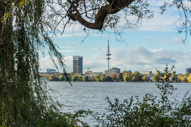 A scenic view of a city skyline with fiber optic cables.