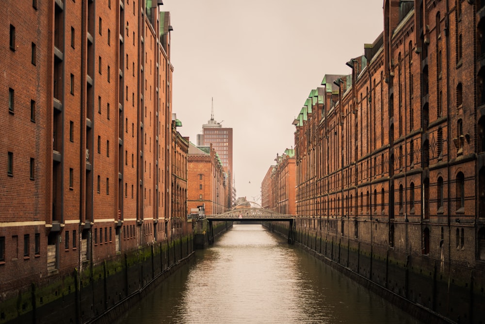 brown buildings