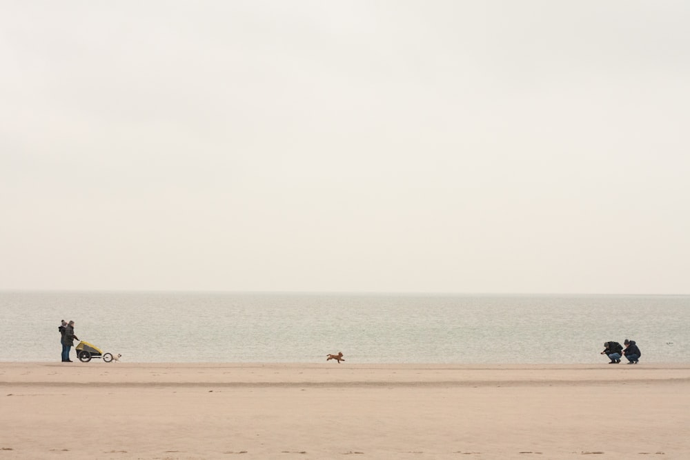 person standing on sea shore