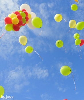 Bright balloons floating against a clear blue sky.