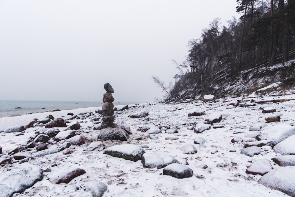 stones near seashore