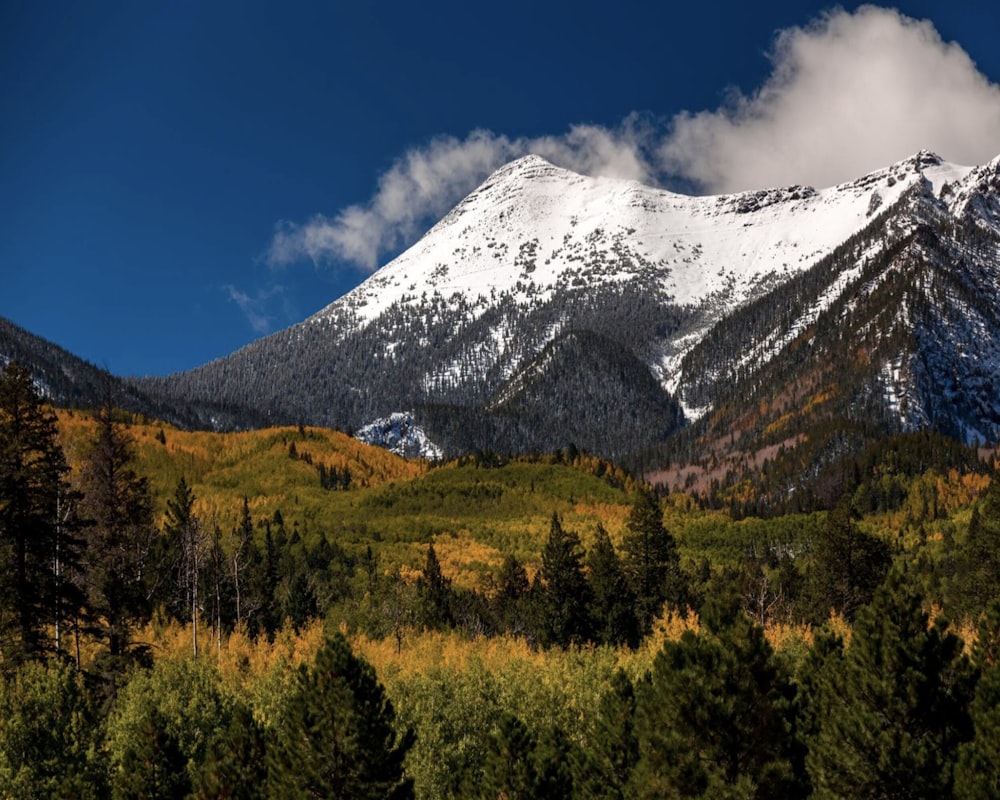 snow capped mountain near green field during dayhtime