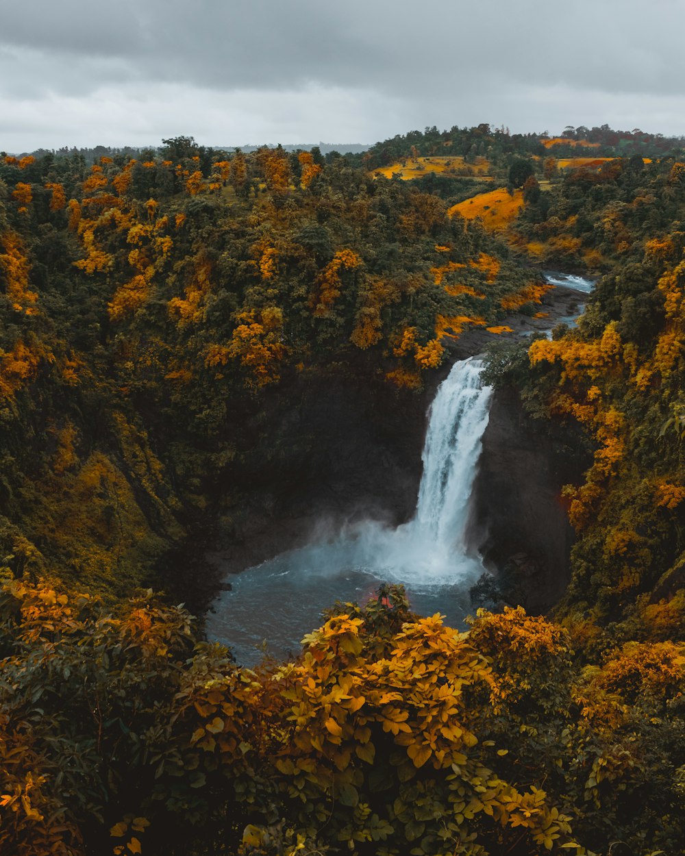 birds'-eye view photography of waterfall in forest