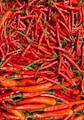 bunch of chili