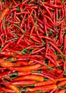 bunch of chili