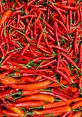 bunch of chili