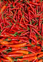 bunch of chili