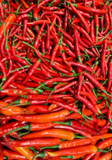 bunch of chili