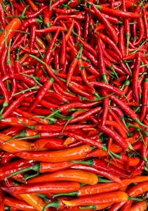 Red Chilli