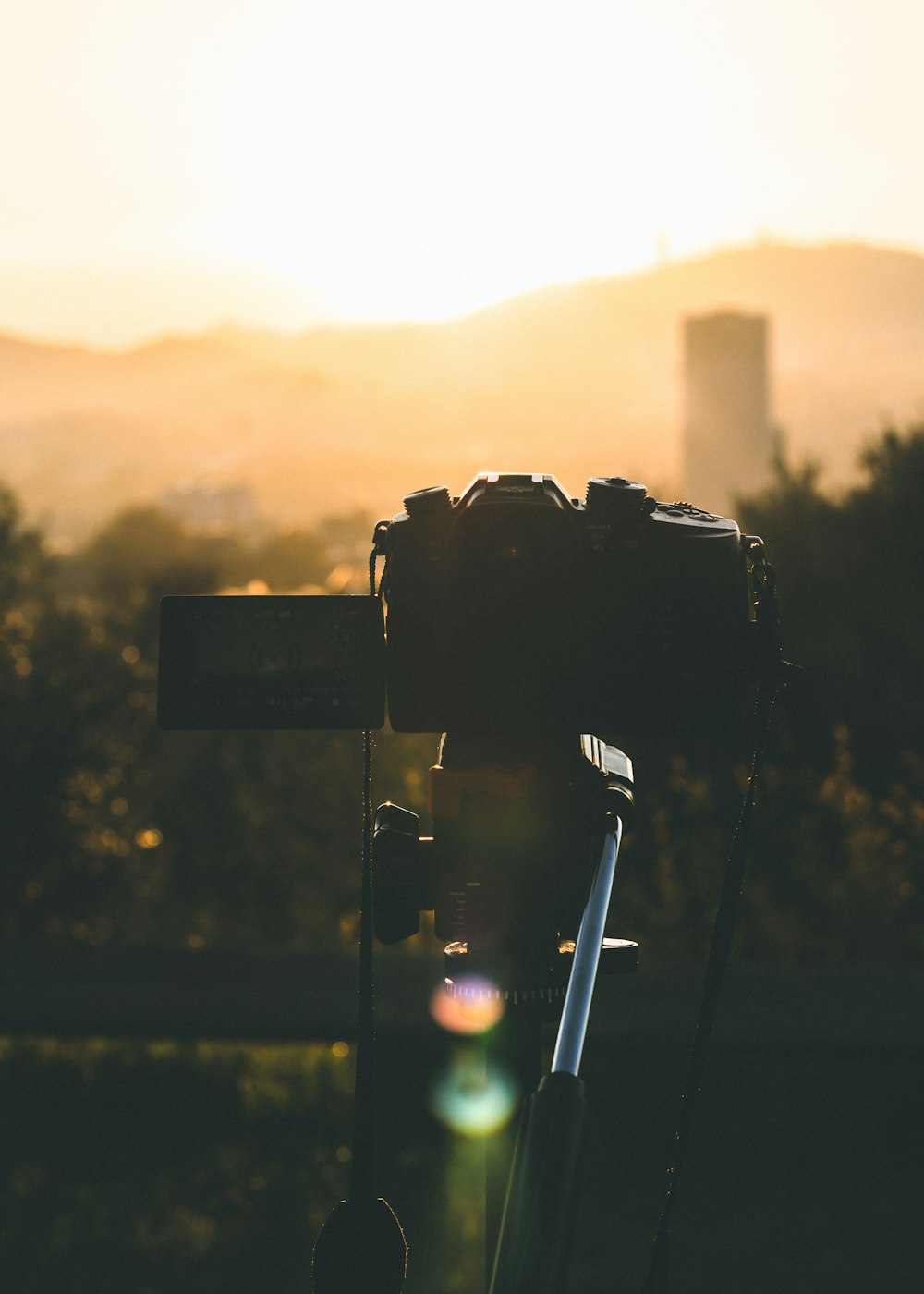 black camera during golden hour