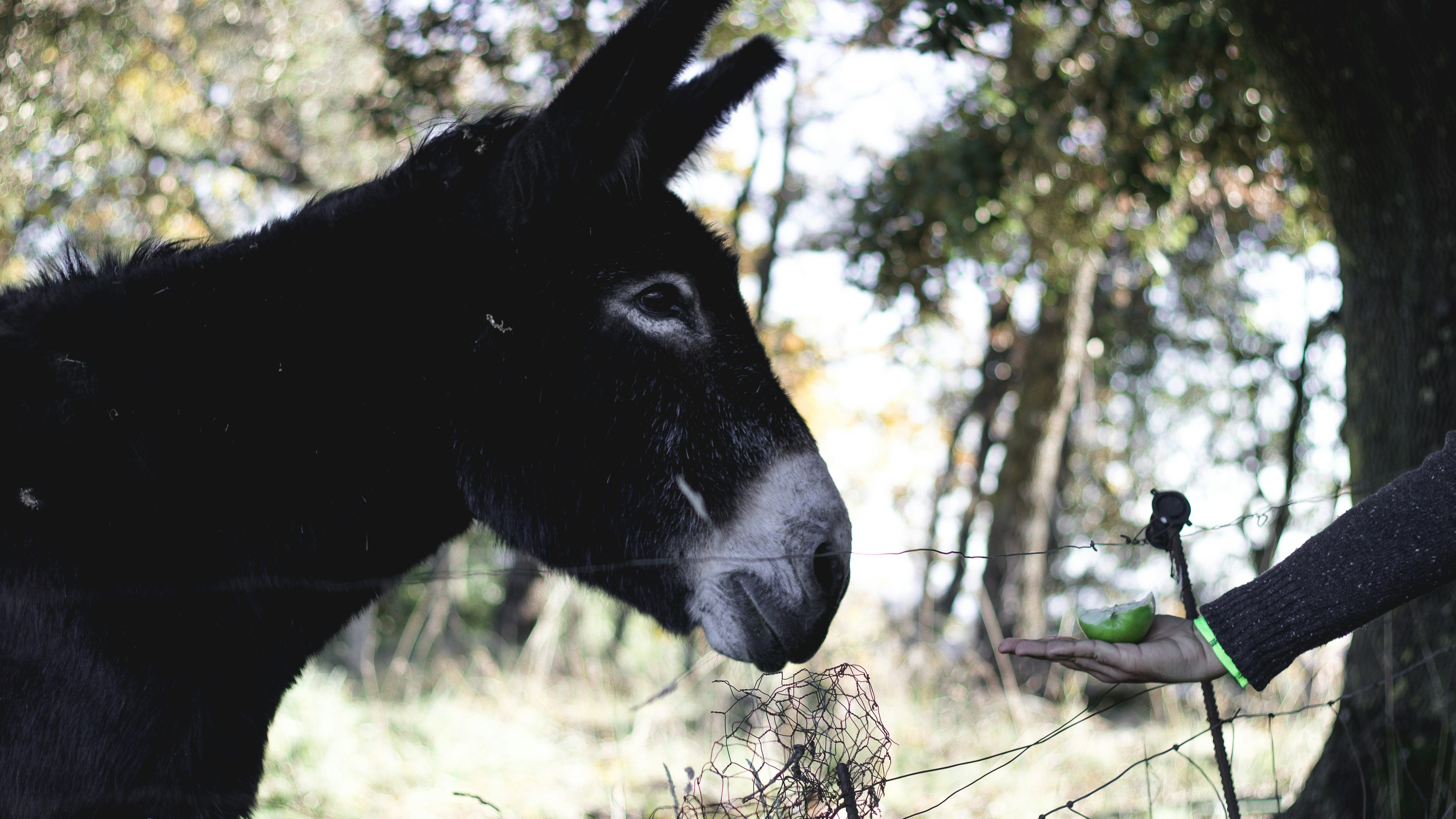 Photo by georgesultan