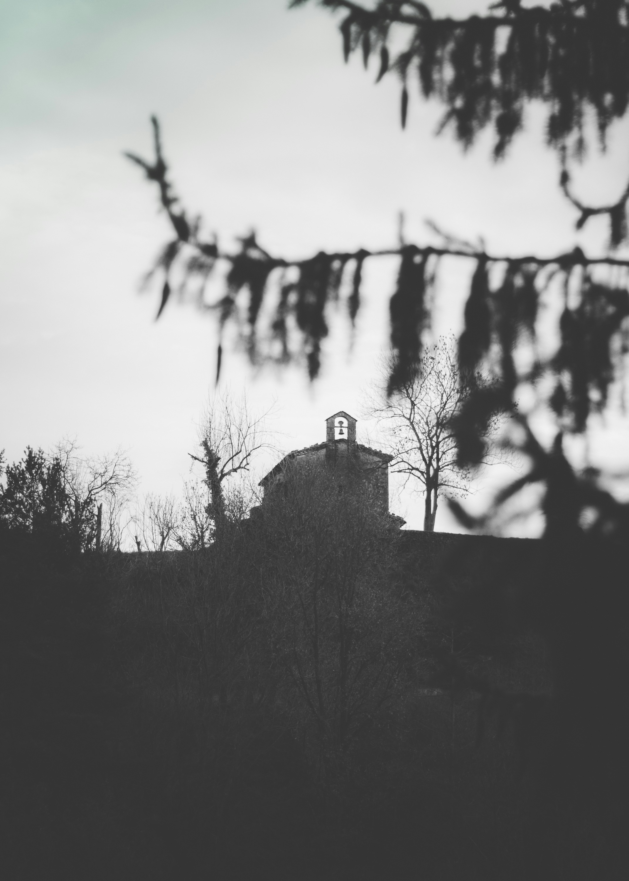 Photo by georgesultan