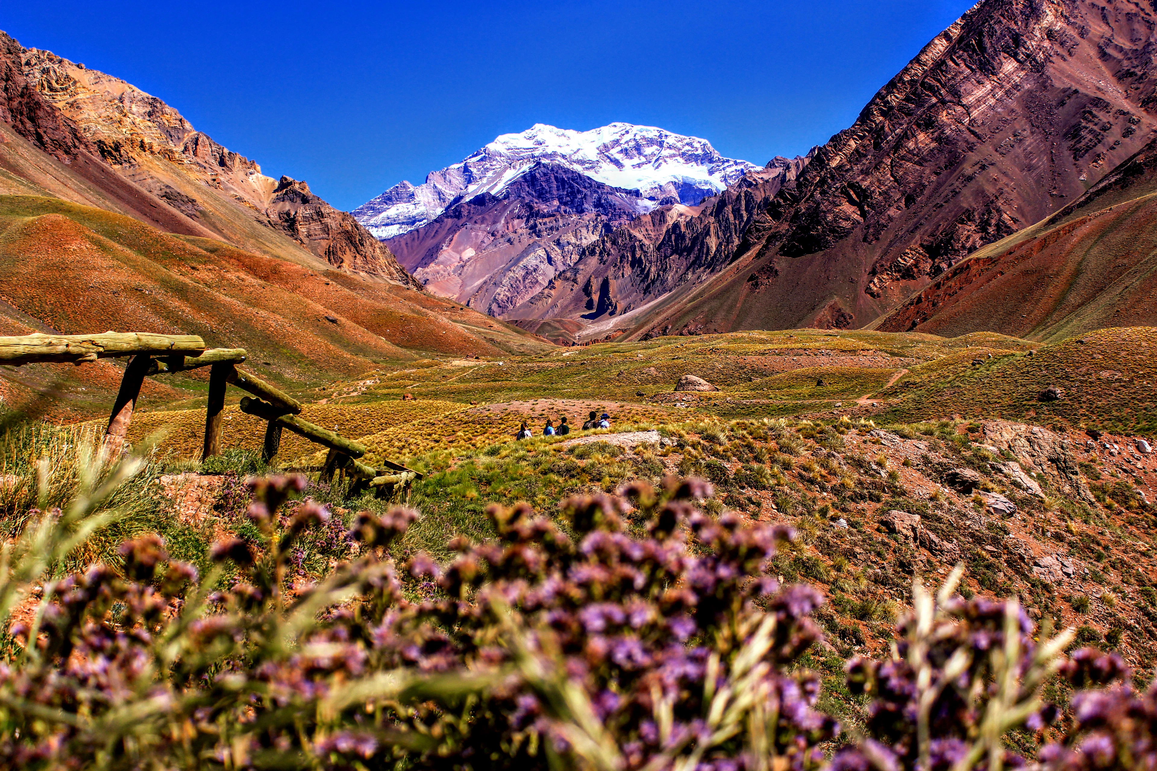 Mendoza scenery