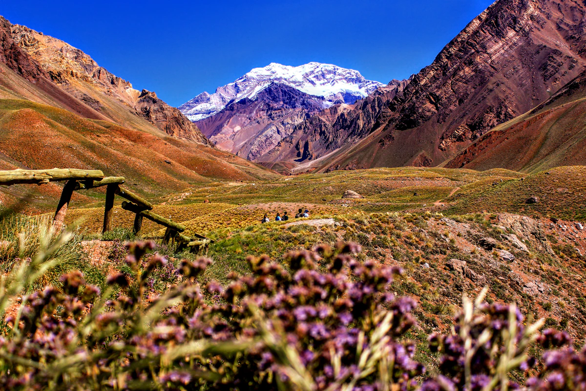 Mendoza Argentina wine country with Andes mountains in the background