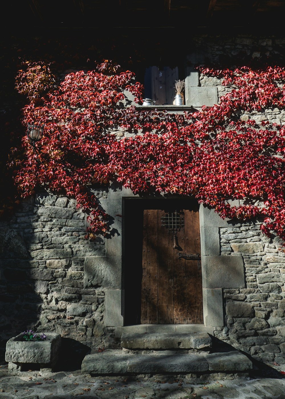 closed brown wooden door