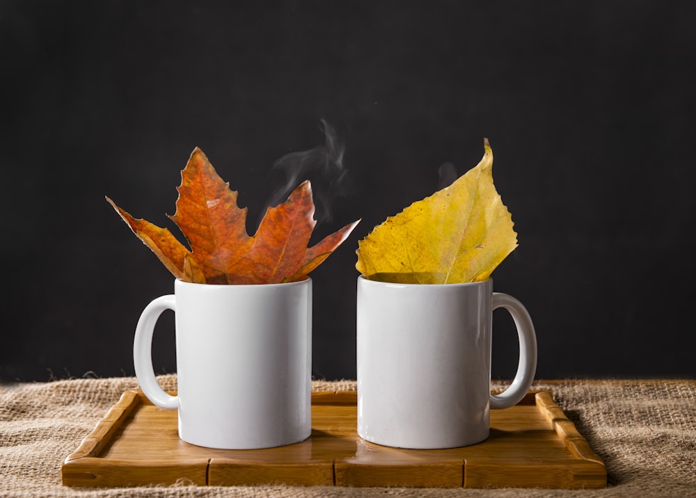 deux tasses en céramique blanche avec des feuilles