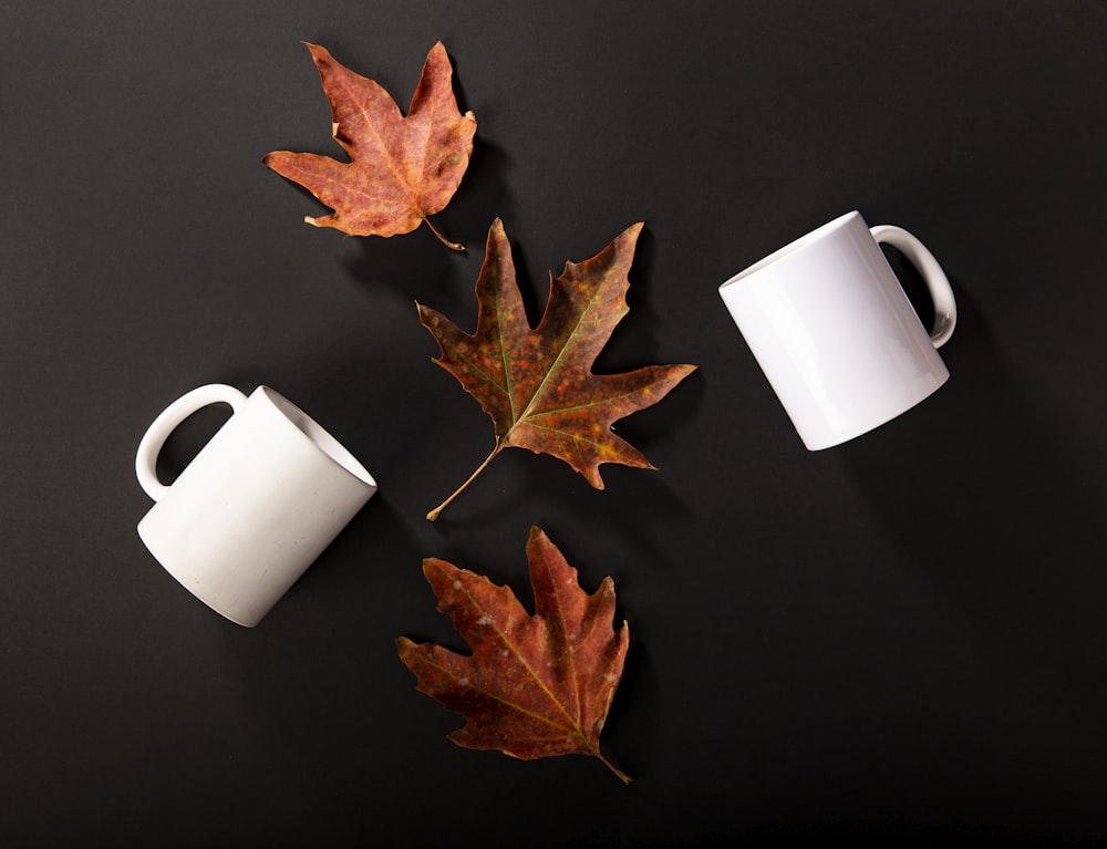 two white ceramic mugs and brown maple leaves