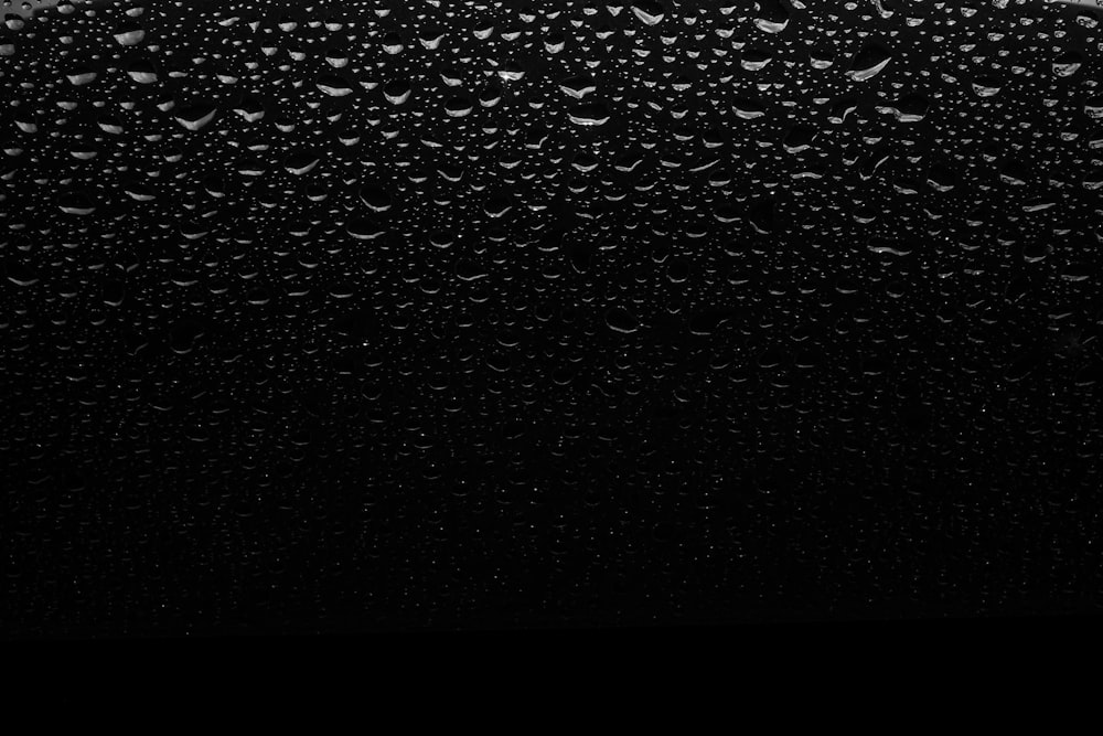 30,000+ Black Rain Pictures | Download Free Images on Unsplash
