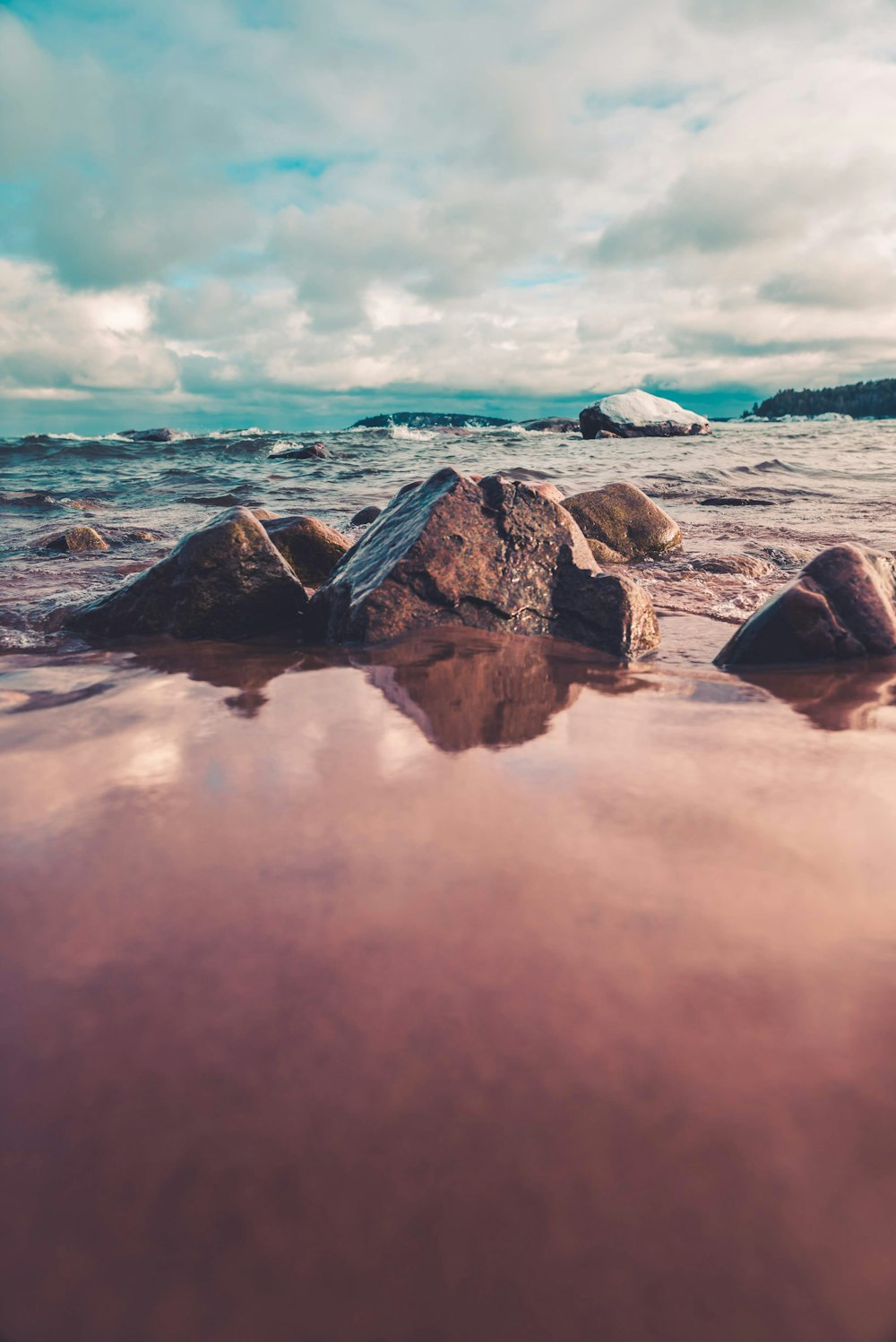 selective focus photography of rock