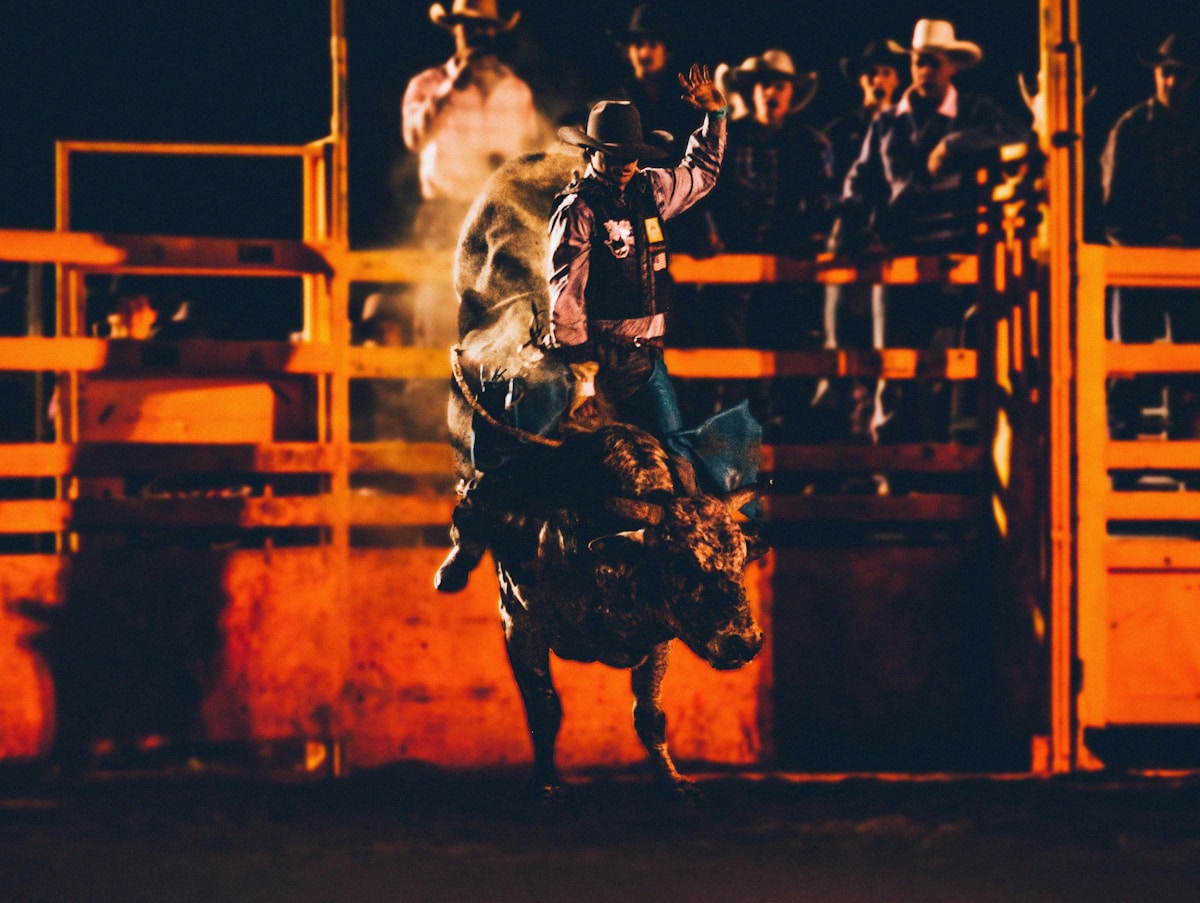 Bull riding action at a rodeo arena