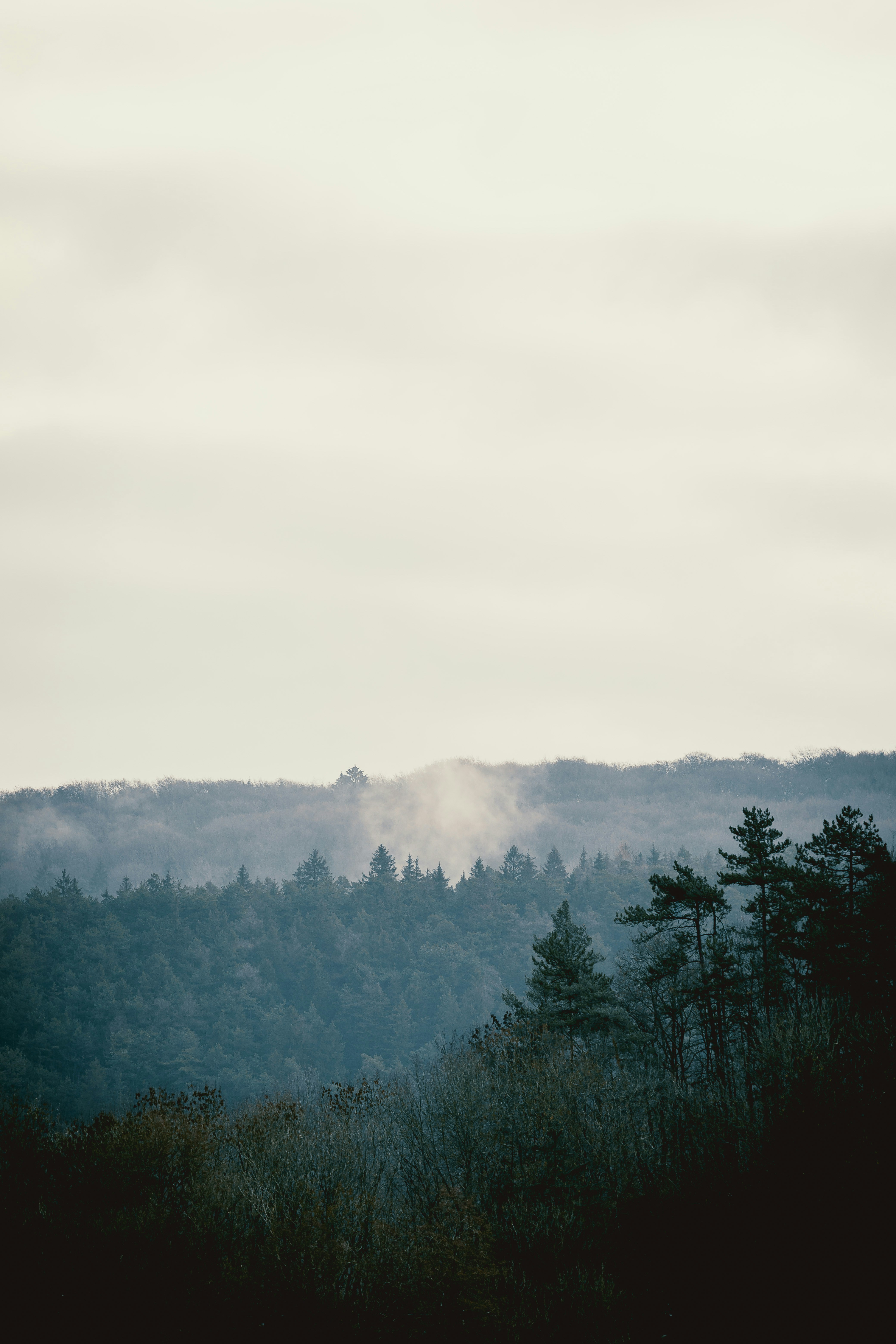 Photo by niklas_hamann