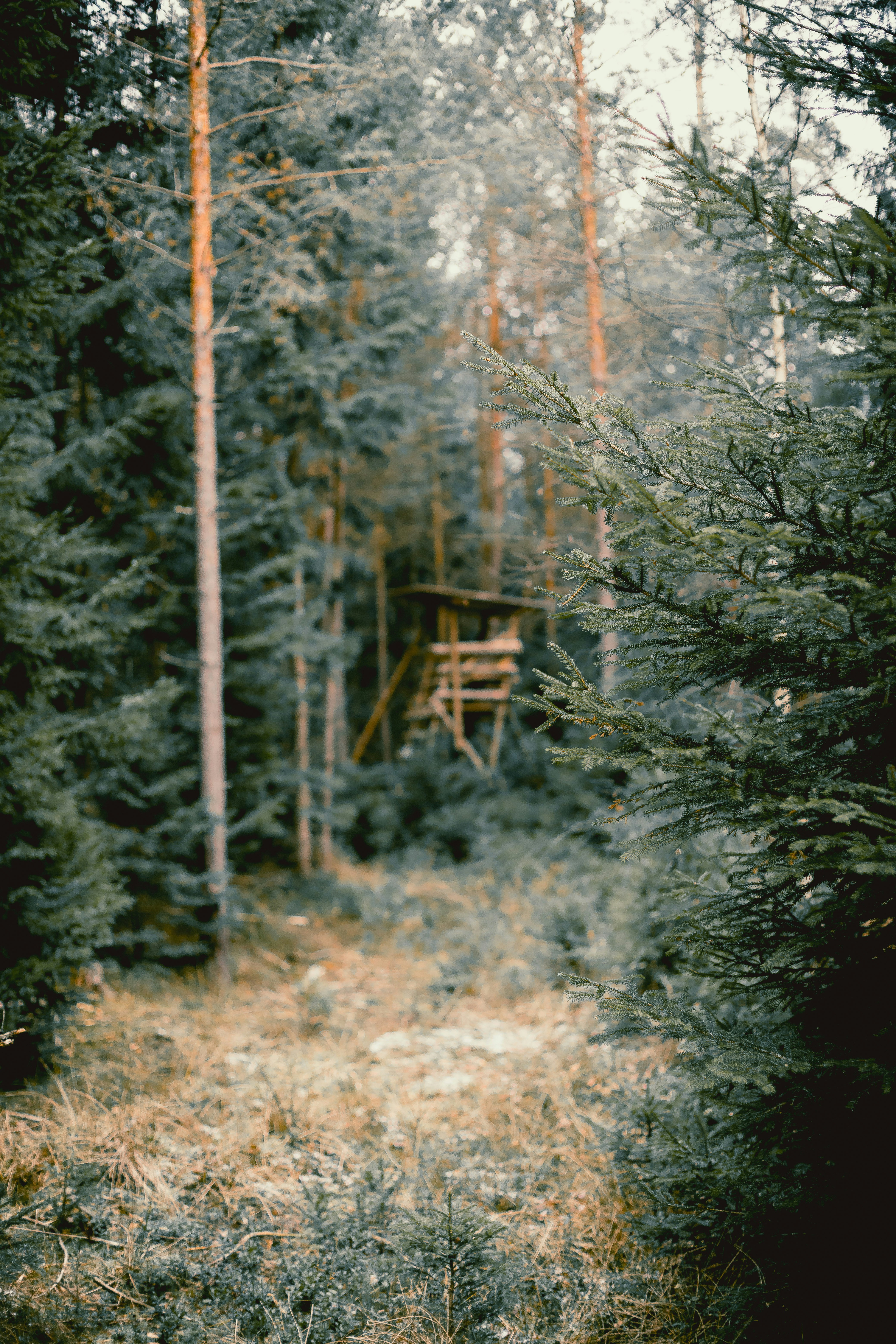 Photo by niklas_hamann