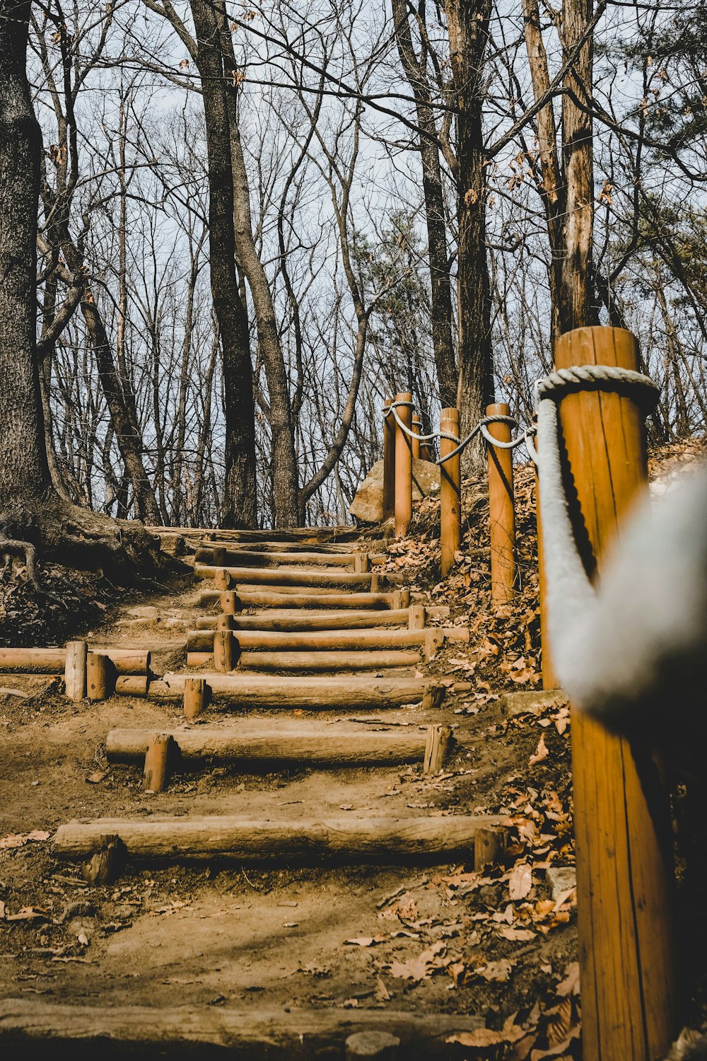 a set of wooden steps in the woods