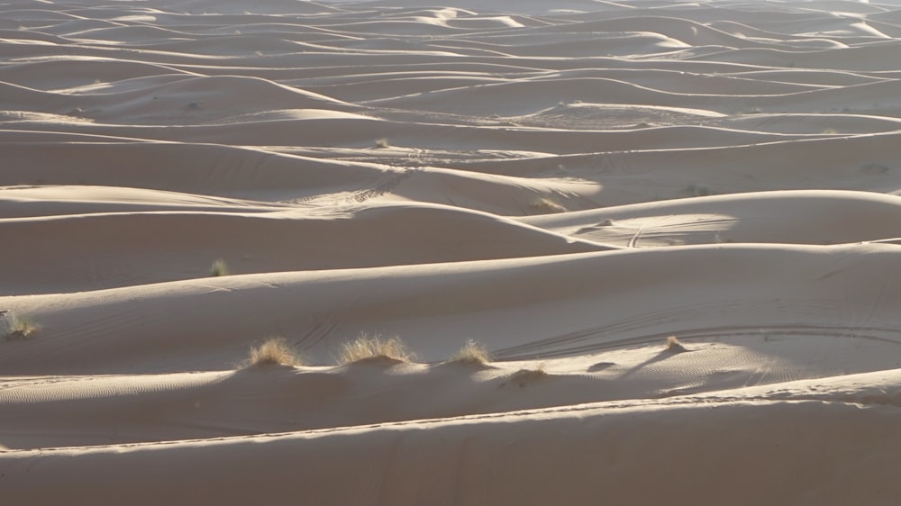 white sand field during daytime