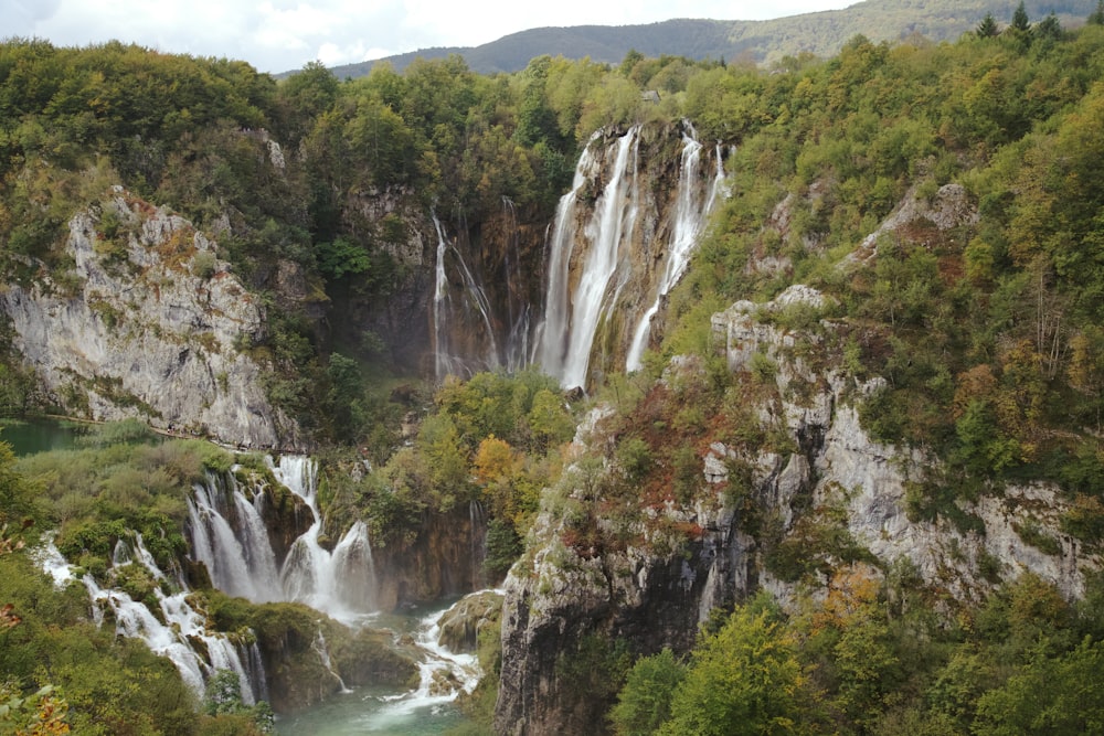 waterfalls with trees during daytime