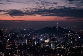 lighted city skyline at night