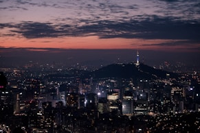 lighted city skyline at night