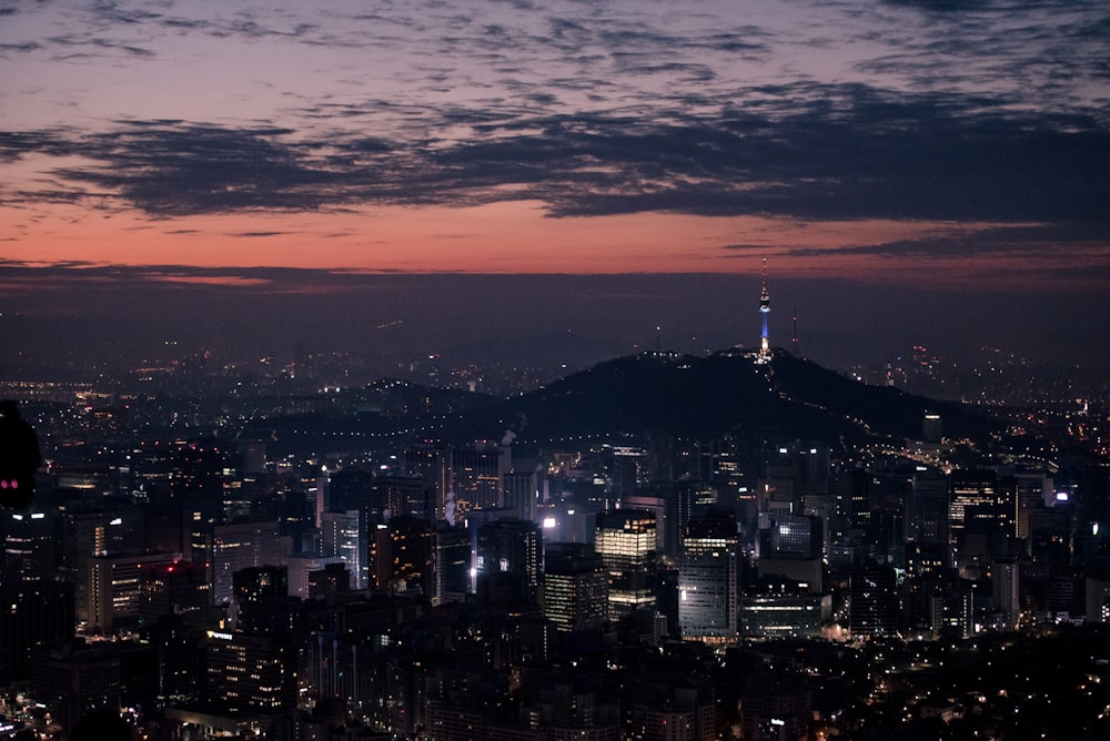 lighted city skyline at night