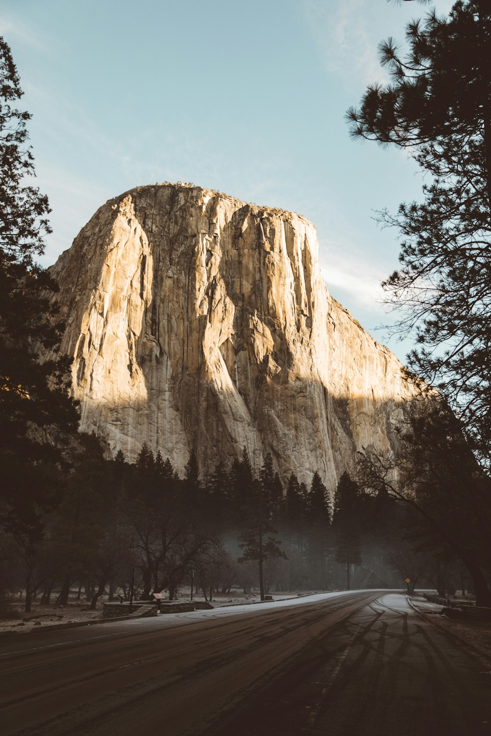 brown rock formation near trees during daytime